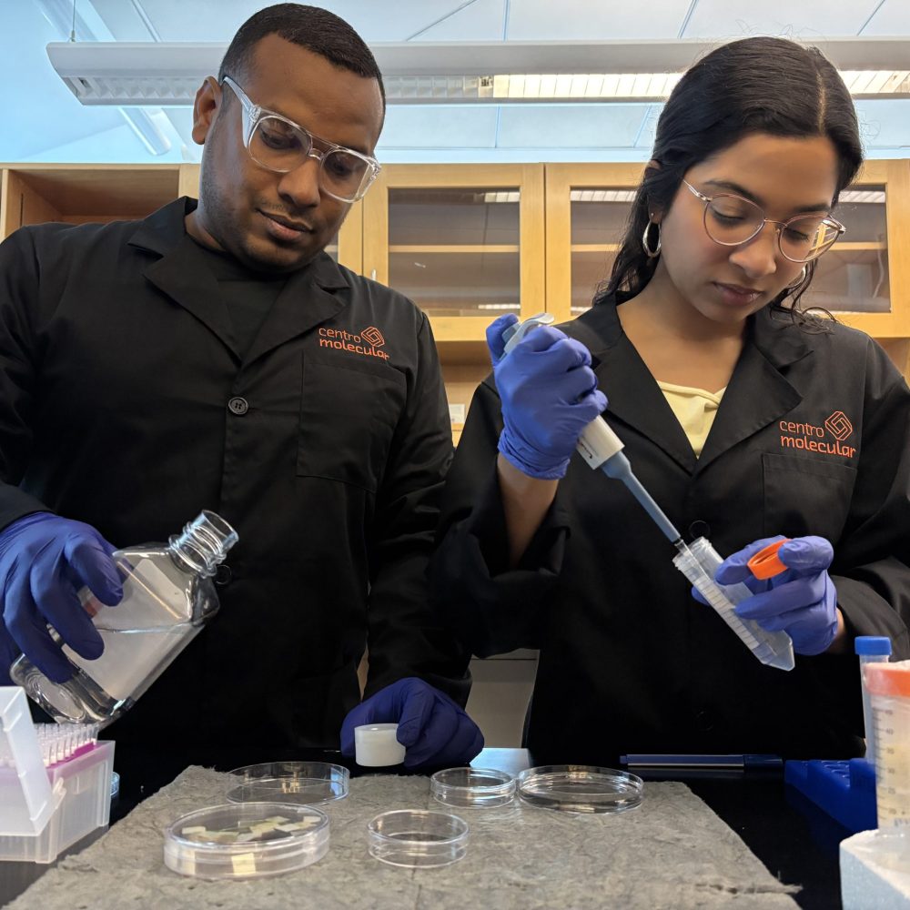 Luis Bermudez y Adrialis Figueroa en su laboratorio ubicado en el Centro Molecular 3 - LilaTToo